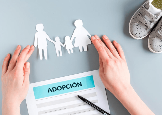 HOY SE CONMEMORA EL “DIA POR EL DECRECHO A LA ADOPCIÓN”