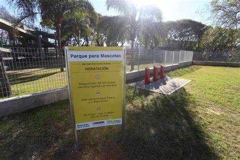 PROPONEN CREAR UN CARRIL PARA MASCOTAS EN EL PARQUE 3 DE FEBRERO