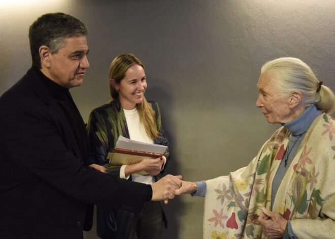 JORGE MACRI CONTRA EL CAMBIO CLIMÁTICO