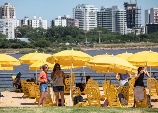 VERANO 2025 EN LA CIUDAD: ACTIVIDADES, PASEOS, COLONIAS Y ESPECTACULOS