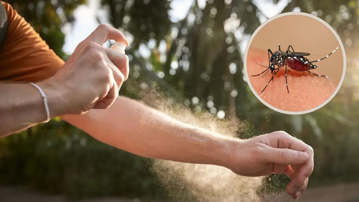 PROPONEN QUE LOS HOSPITALES PORTEÑOS ENTREGUE REPELENTES PARA PROTEGERSE DEL DENGUE