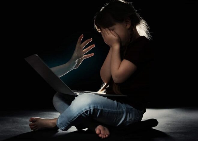 PROPONEN ADHERIR A LA LEY NACIONAL DE PREVENCIÓN DEL GROOMING O CIBERACOSO