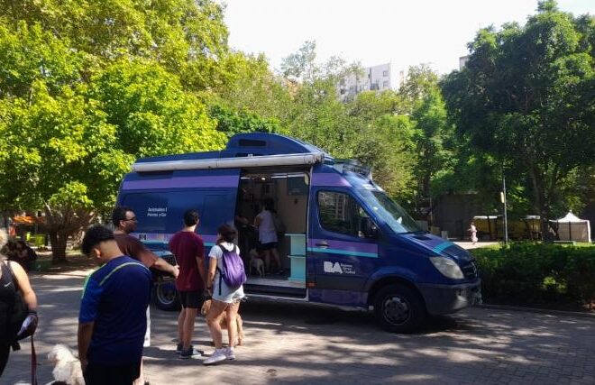 CASTRACIÓN Y VACUNACIÓN ANTIRRÁBICA GRATUITA PARA PERROS Y GATOS