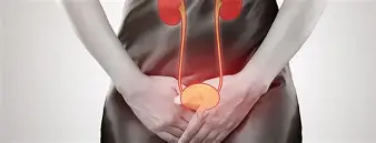 INFECCIÓN URINARIA: LA IMPORTANCIA DEL TRATAMIENTO A TIEMPO