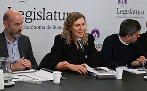 LA COMISIÓN DE PRESUPUESTO AVANZA CON LOS CAMBIOS EN INGRESOS BRUTOS