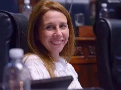LOS LIBERTARIOS NO QUIEREN VINCULARSE CON EL PRO EN LA CIUDAD