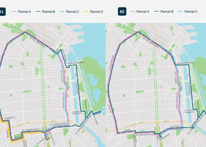 POR PRIMERA VEZ, DOS LÍNEAS DE COLECTIVOS INGRESAN A PUERTO MADERO Y AL BARRIO RODRIGO BUENO