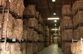 PIDEN REGULAR LA VENTA DE TABACO