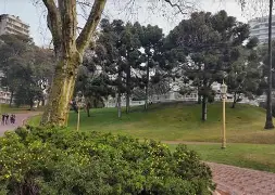 JORNADA EN BELGRANO POR EL DÍA DEL ÁRBOL