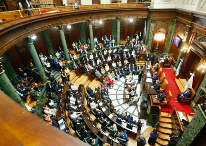 ESCOLARIDAD DESDE LOS TRES AÑOS, MODIFICACIÓN DE LA LEY 342 Y DESIGNACIÓN DE AUTORIDADES EN LA DEFENSORIA DEL PUEBLO
