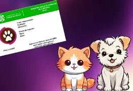 LA CIUDAD IMPULSA UNA LEY PARA QUE CADA PERRO Y GATO TENGA NÚMERO DE IDENTIFICACIÓN